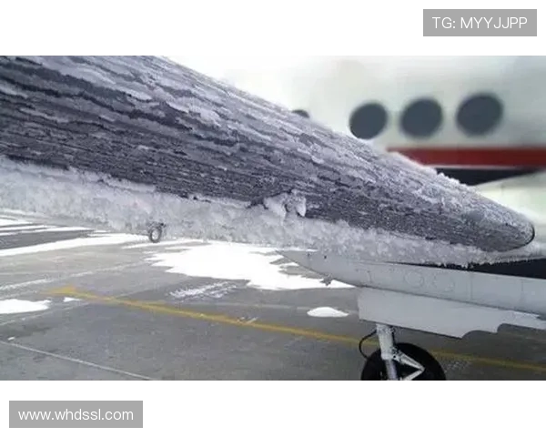 飞机机翼前缘防冰系统的结冰仿真